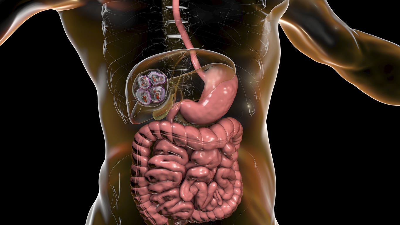 10 Facts About Exocrine Pancreatic Insufficiency image